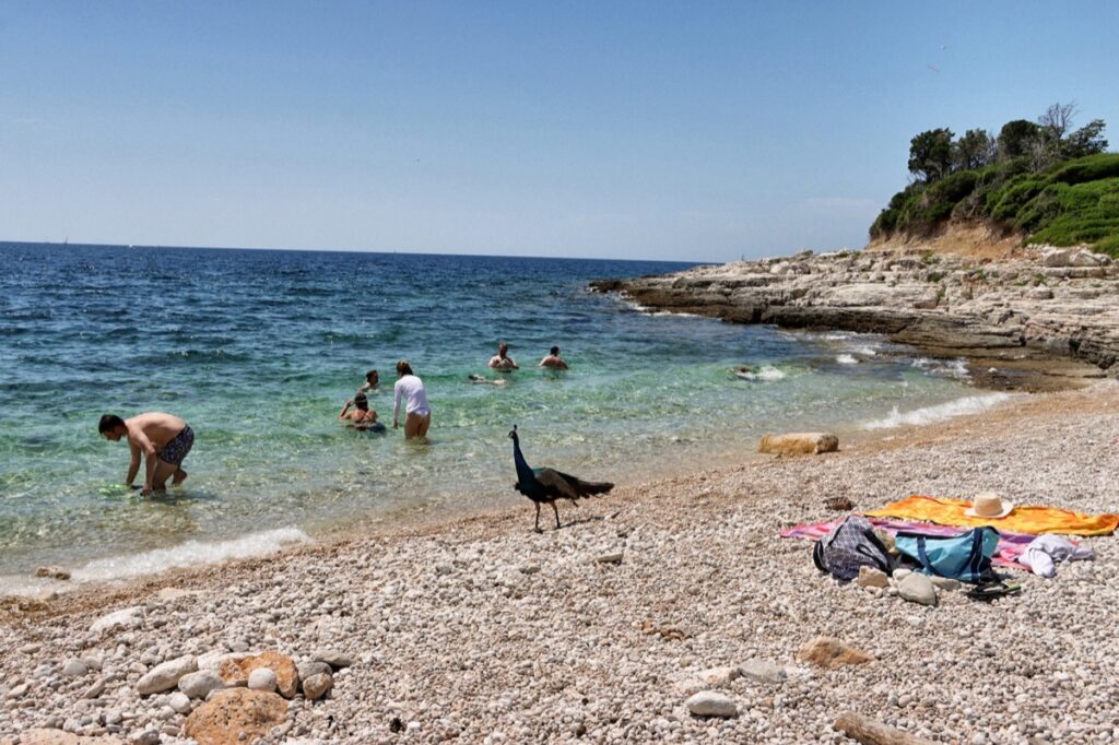 teo-boat-14-islands-08